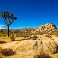 Joshua Tree National Park