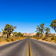 Joshua Tree National Park