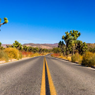 Joshua Tree National Park