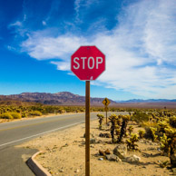 Joshua Tree National Park